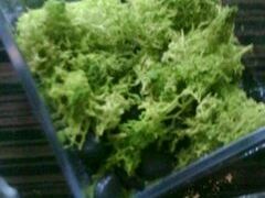 -上海虹桥西郊假日酒店