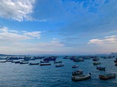 -海源公园