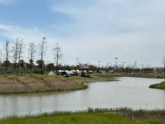 -春花秋色城市公园