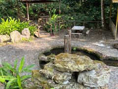-莫里热带雨林景区