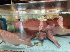 -阿伟海鲜楼·福建菜(延寿店)