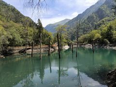 -叠溪松坪沟景区