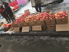 -蒲河大集