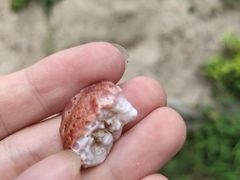 -玫瑰海岸文化旅游度假区