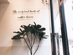-red donkey coffee