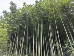 -秦岭风景区