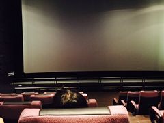 Palace&nbsp;Cinema百丽宫影城(大慈寺太古里店)-成都百丽宫影城(LUXE太古里店)