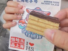 -上海哈尔滨食品厂(淮海中路店)