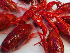 -红盔甲·小龙虾(定西路店)