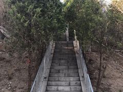 -白水寺森林公园