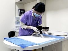-心语宠物医院·急重症转诊中心·瑞辰华诺(南青路店)