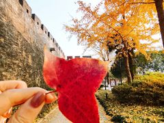 -常州明城墙