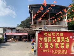 -天强农家菜馆