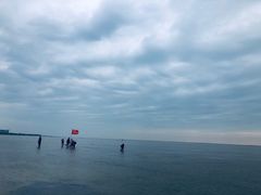-红树林天天赶海