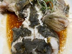 -复旦大学本部-食堂