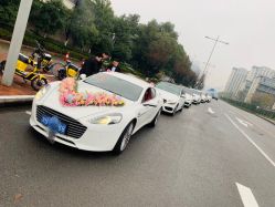 -宁波甬诚婚车(新典路店)