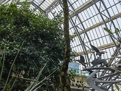 -南山植物园