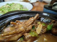 秘制鸡爪煲-全乐鱼馆·淳牌有机鱼直营店