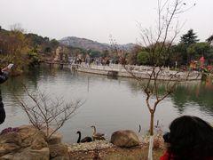-白马涧龙池景区