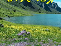 -白鹭湾湿地公园