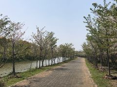 -上海海湾国家森林公园