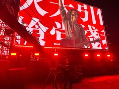 -春花秋色城市公园