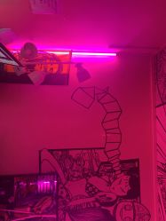 -MDZ STORE·TATTOO·耳饰