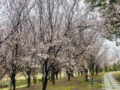 -同济大学(嘉定校区)