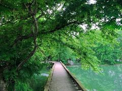 -西溪南古村落
