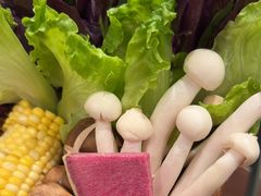 -得意咚瓜·顺德鱼生·冬瓜火锅(深圳首店)