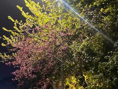 -华南理工大学五山校区-运动场