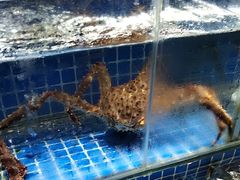 -船家渔(徐州北路店)