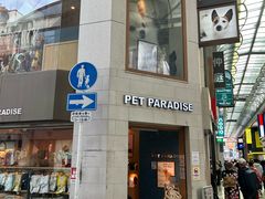 -心斋桥