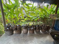 -大象粑粑造纸公园