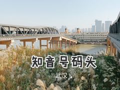 -武汉知音号