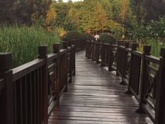 -洪湖悦兮半岛国际温泉度假村