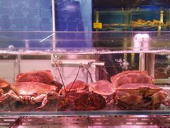 -日进一片海.生腌海鲜火锅.宵夜烧烤(三里屯总店)
