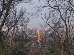 -大蜀山国家森林公园