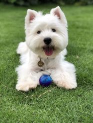 -HairCode芭曲发型