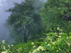 -阳台山自然风景区