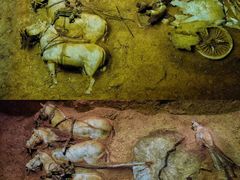 -秦始皇帝陵博物院-丽山园