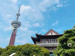 -南京古林公园