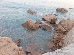 -燕儿岛山公园
