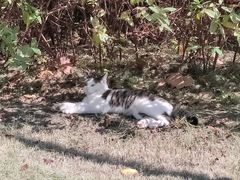 -东华大学(松江校区)