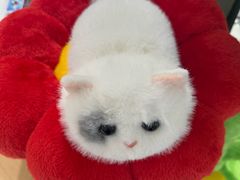 -鹰巢数码·EAGLE’S NEST(SKP店)