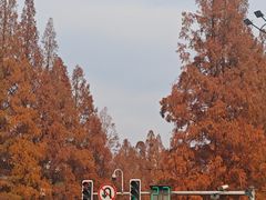 -长江路历史文化街区