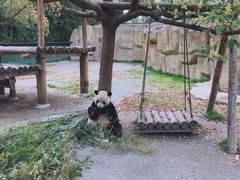 -上海野生动物园