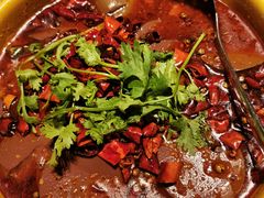 -红辣椒·川菜·火锅(张杨路店)