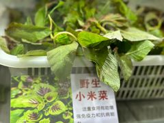 -黔府豆米火锅野菜馆(南马店)