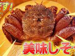 红毛蟹-蟹田居·活蟹料理(东城店)